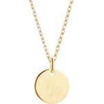Collier chane mdaille capricorne personnalisable (plaqu or)