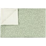 Couverture polaire daring dino (75 x 100 cm)