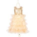 Dguisement christianne robe (3 - 4 ans)