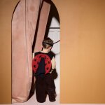 D�guisement coccinelle dress - up