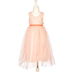D�guisement evelynn robe (5 - 7 ans)