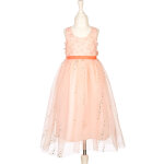 D�guisement evelynn robe (3 - 4 ans)
