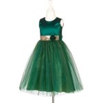 Dguisement luisa robe (5 - 7 ans)