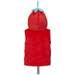 D�guisement stella strawberry (2 ans)
