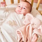 Doudou attache sucette fanfan l'�l�phant rose