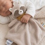 Doudou plat raku le raton laveur
