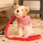 Eliot le chien avec manteau et laisse