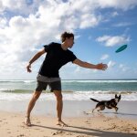Frisbee en caoutchouc pour chien jetwag (20 cm)