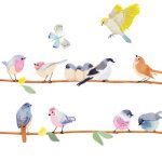Frise adhésive sticker branche d'oiseaux (2, 1 m) Frise adhésive sticker branche d'oiseaux (2, 1 m)