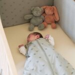 Gigoteuse manches amovibles tog 2, 5 honey argile (0 - 6 mois)