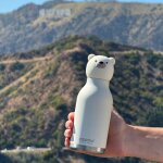 Gourde isotherme bestie ours blanc (460 ml)