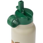 Gourde isotherme falk dinosaurs mist (350 ml)