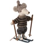Grand frère souris en hiver sur ses skis gris Grand frère souris en hiver sur ses skis gris