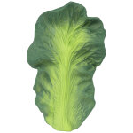 Jouet / anneau de dentition