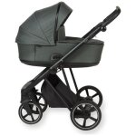 Landau air moss