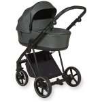 Landau air moss
