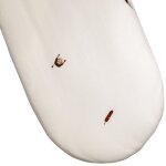 Drap housse en coton bio pour landau petit plume (72 x 33 cm)