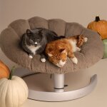 Lit pour animaux de compagnie et fauteuil suspendu shell caramel