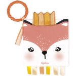 Livre bb le renardeau colrique