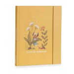 Livre de naissance / album photo