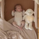 Lot de 2 bodies bl�s (naissance)