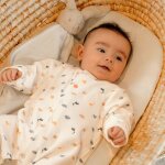 Lot de 2 pyjamas velours dino (3 mois)