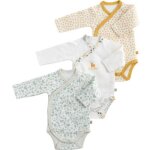 Lot de 3 bodies promenons - nous (naissance)