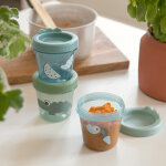 Lot de 3 pots de conservation croco vert (150 ml)