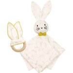 Lot doudou plat + anneau de dentition leafy bunny