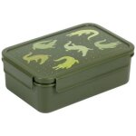 Lunch box crocodiles