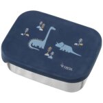 Lunch box dino Lunch box dino
