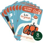 Pack explorobots le corps humain