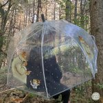 Parapluie ernest et c�lestine