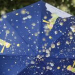 Parapluie le petit prince