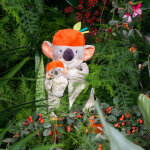 Peluche d'activit�s koco le koala dans la jungle