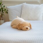 Peluche nemu nemu sora le golden retriever (56 cm)