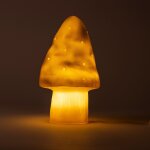Petite lampe veilleuse champignon dor�