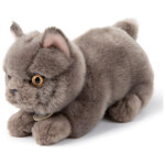 Peluche freddy le brittish shorthair (20 cm)