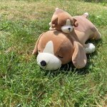 Porte - cl� peluche nemu nemu chien beagle vick (11 cm)