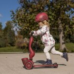 Porteur �volutif en highwaykick 1 lifestyle wildcat