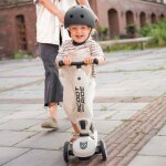 Porteur �volutif highwaykick 1 push and go ash
