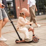 Porteur �volutif highwaykick 1 push and go mocha