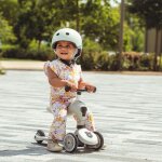 Porteur �volutif en trottinette highwaykick 1 ash