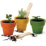 Pots et accessoires du potager en bois