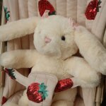 Poussette pour enfant strawberry