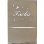 Protge carnet de sant taupe (personnalisable)