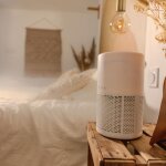 Purificateur d'air 3 en 1 p�re pro