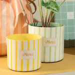 Set de 2 caches pot baya merci (11 cm)