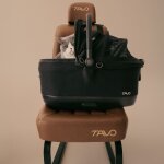 Si�ge auto et caisse de transport pour animaux de compagnie maeve iso6x merle avec syst�me isofix