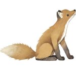 Sticker renard forest Sticker renard forest